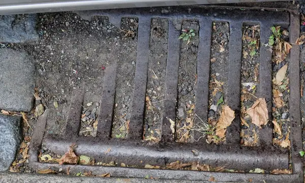 A street drain gully grate clogged with leaves and debris