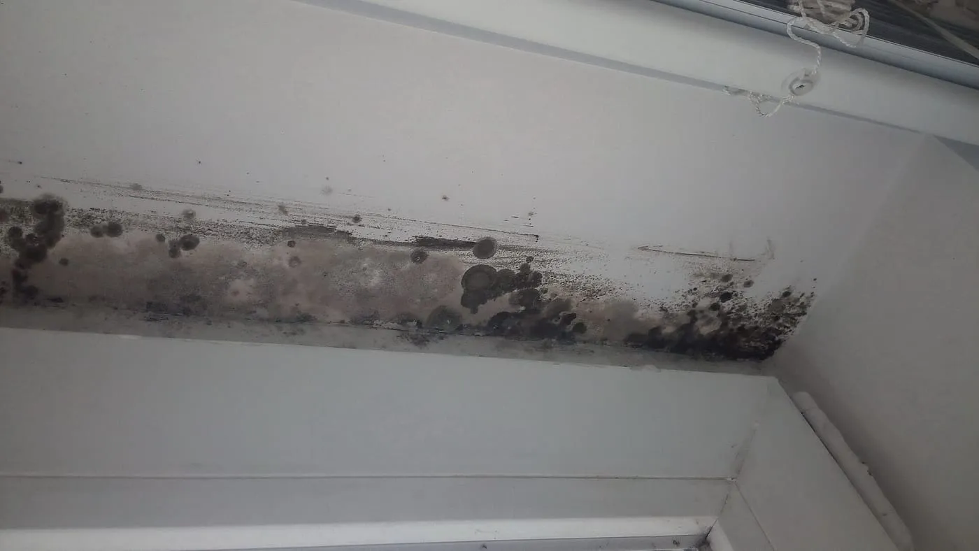 Mould growing on a window reveal indoors