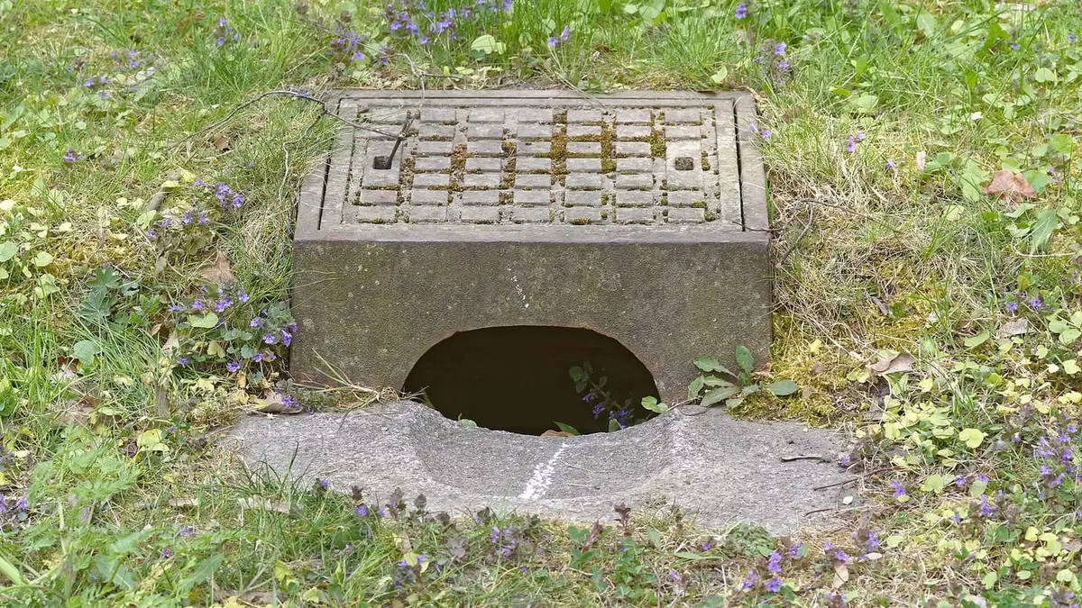 A drain gully cover beside a path in a park