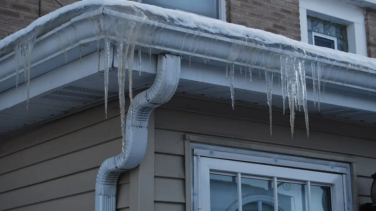 Icicles hanging from a gutter and downpipe after a freeze