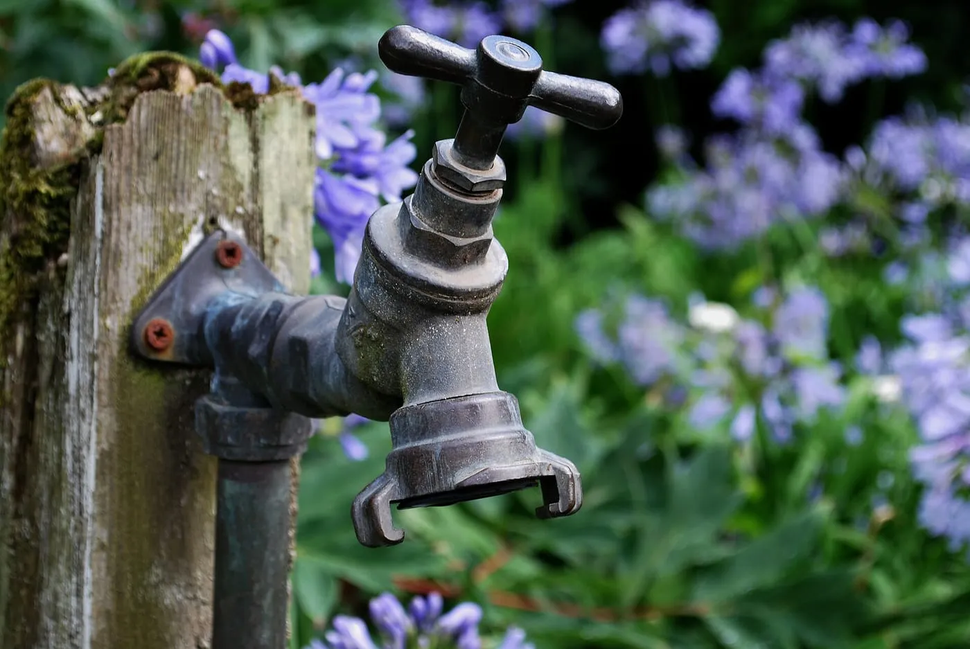An outdoor garden tap on a wooden post among bluebells
