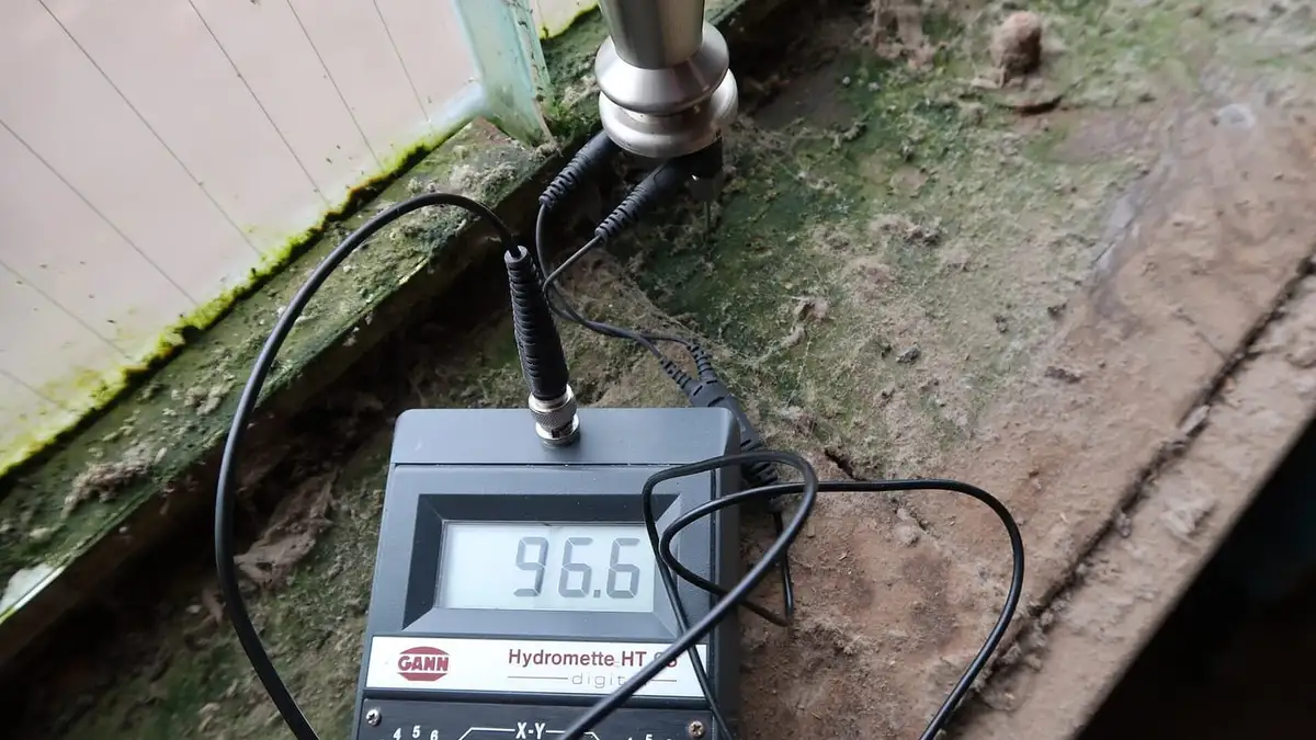 A moisture meter probe testing a damp, mouldy window sill
