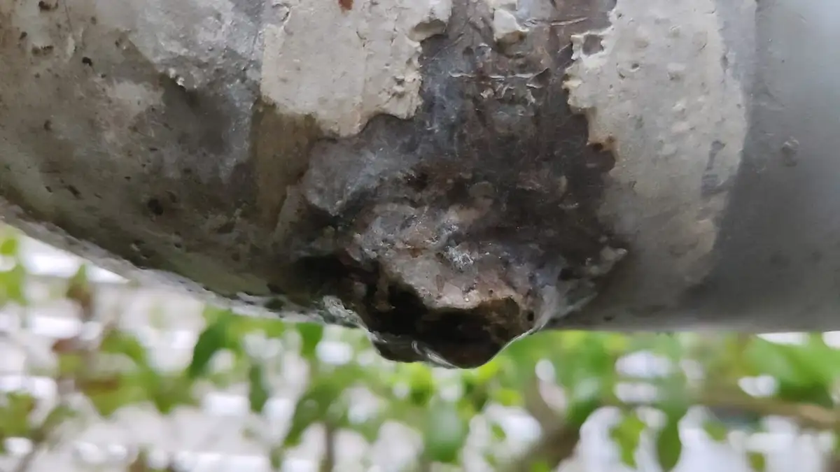 Water leaking from a rusted spot on a pipe bend