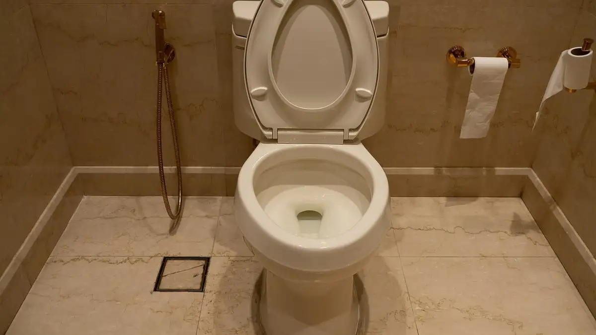 A white toilet in a marble-tiled bathroom