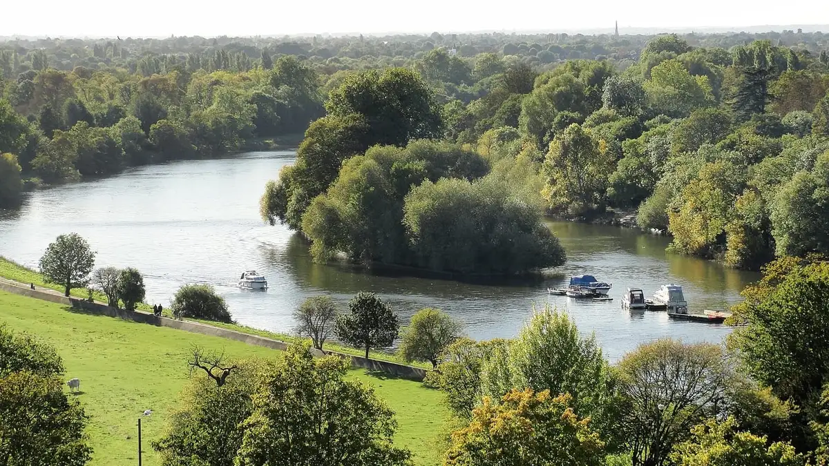 The River Thames seen from Richmond Hill, Richmond