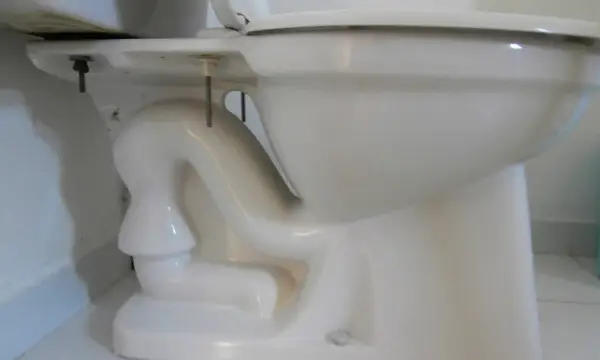 A toilet bowl cut away to show the siphon trapway inside the ceramic