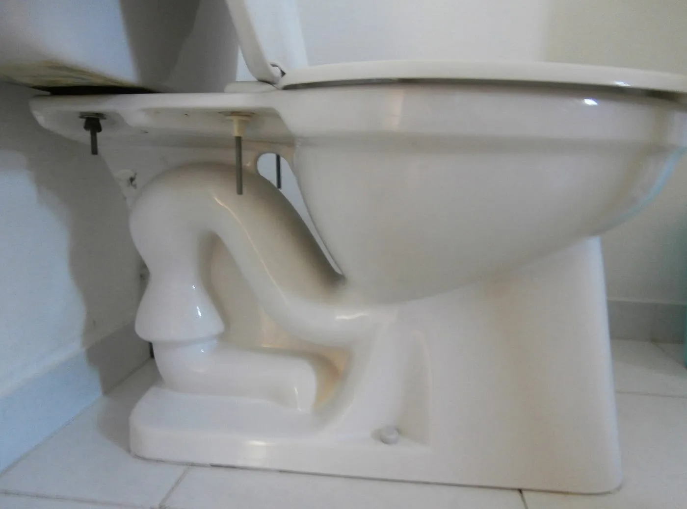 A toilet bowl cut away to show the siphon trapway inside the ceramic
