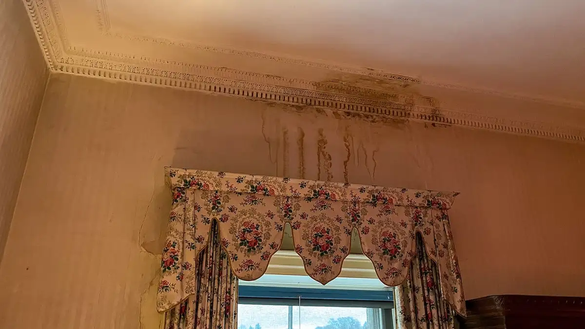 A brown water stain spreading across a ceiling above a curtained window