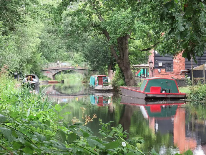 Narrowboats on the Basingstoke Canal in Woking
