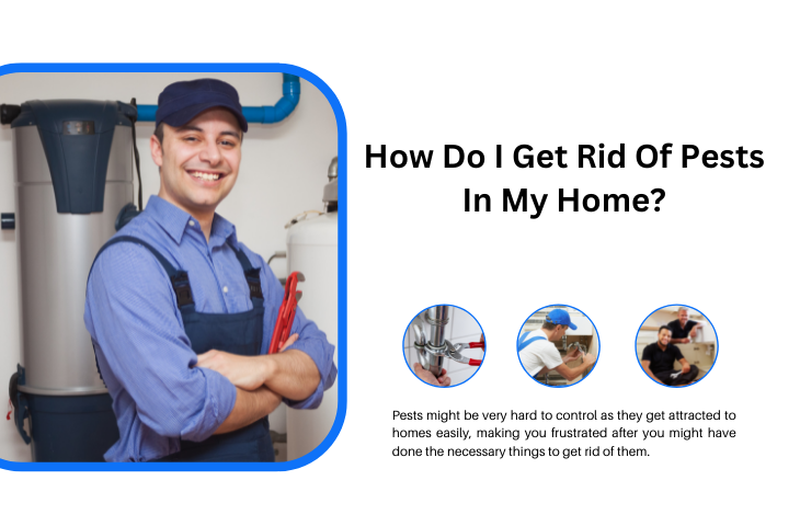 How Do I Get Rid Of Pests In My Home