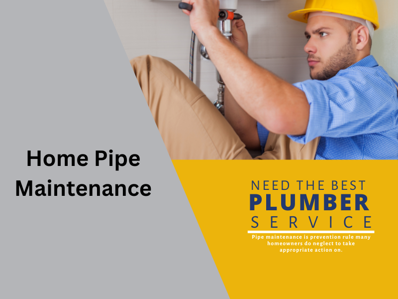 plumbing & home maintenance