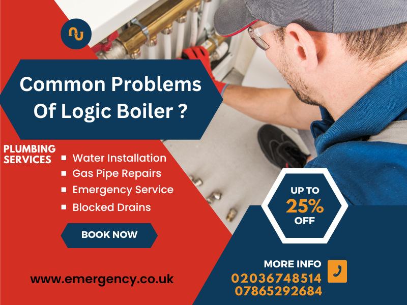 Common Problems Of Logic Boiler 1 Common Problems Of Logic Boiler