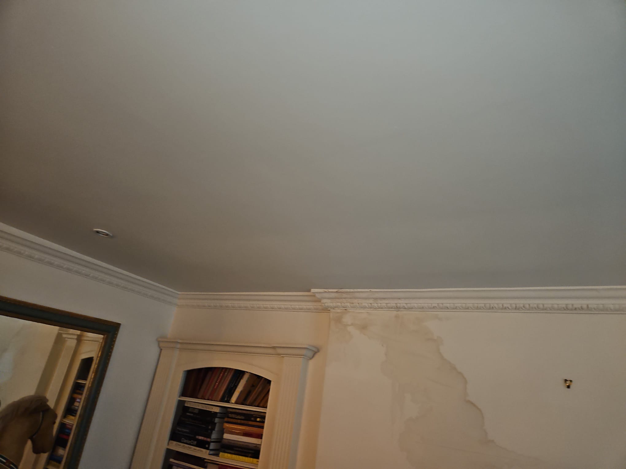 WhatsApp Image 2023-11-20 at 8.31.03 PM